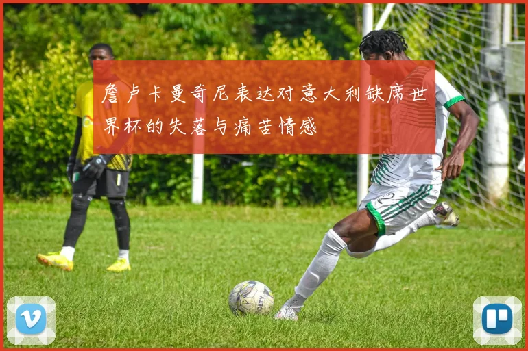 詹卢卡曼奇尼表达对意大利缺席世界杯的失落与痛苦情感