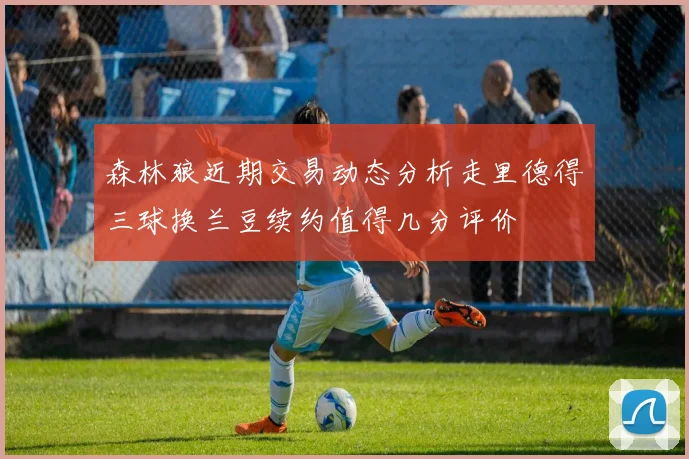 森林狼近期交易动态分析走里德得三球换兰豆续约值得几分评价
